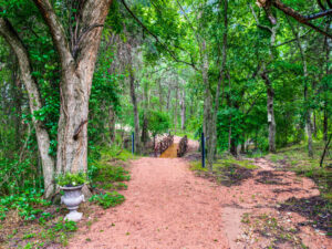 Wooded Area and Bridge at Thistle Hill Estate