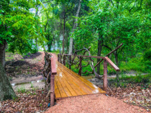 Wooded Area and Bridge at Thistle Hill Estate